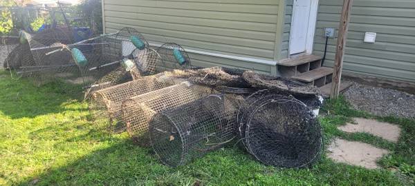 Snapping turtle nets 1