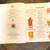 ***Make Offer -Large Science Encyclopedia Beautiful Illustrations*** 4 thumbnail