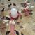 Baby Chicks 6 thumbnail