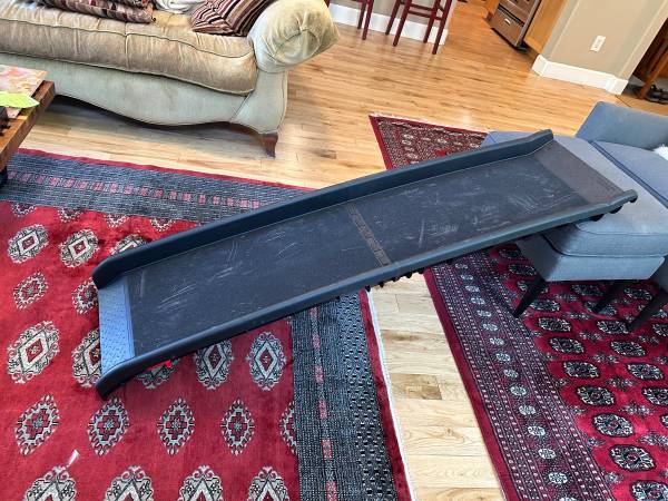 Pet loading ramp 1