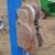 Sumner Roust A Bout Hoist - pipe material lift 4 thumbnail