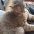 Cat 1 thumbnail