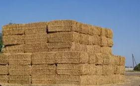 3x4 alfalfa hay 1