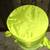 Frog Hamper Child's Green Pop-Up Storage Laundry Toys Clothing Foldabl 8 thumbnail