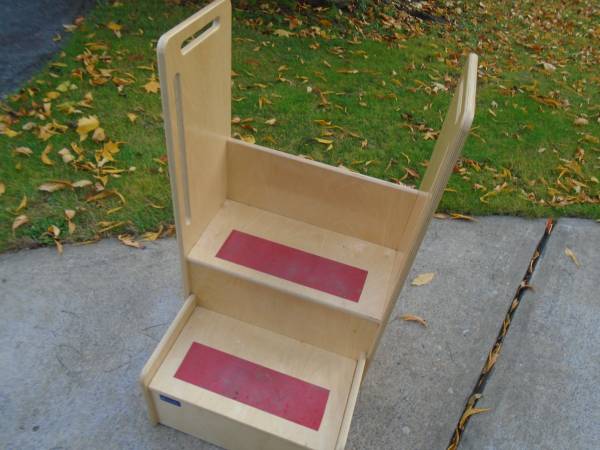 Step-Up-N-Wash Step Stool 1