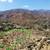 Castle in the Sky! Amazing 5 Acres with a Panoramic Hilltop Pad 1 thumbnail