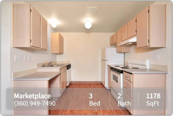 $1,846 / 3br - 1178ft2 - A New Day, A Fresh Start: Your Ideal Home Awaits! (Vancouver)63841708948867121