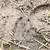 23.58 Acre Homesite For Sale - Owner Financing Available 13 thumbnail