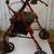 NOVA  Rolling Walker Transport Chair 1 thumbnail