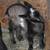 Nigerian Dwarf Goats 5 thumbnail