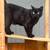 Two female spayed cats 8 thumbnail