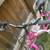 NICE BIKE, 24” Tires, with Extras 2 thumbnail