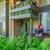 Fantastic 1 bed/1 bath 11 thumbnail
