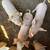 Piglets 2 thumbnail
