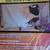 Two Welding Blankets 1 thumbnail