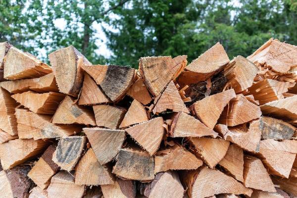 Firewood 1