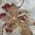 Rug Floral Accent 5'6" X 7'5" Like New 2 thumbnail