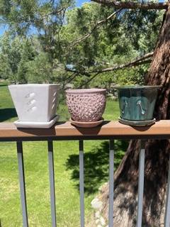 Orchid Pots 1
