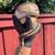 Ball python 4 thumbnail