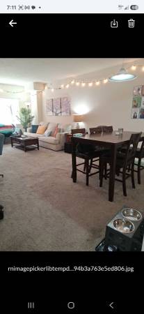 Professional cleaning team (Baltimore)522571665459783681