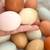 Farm-Fresh Eggs – Clermont, FL (Pickup Only) 4 thumbnail