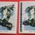 Casey Stars/North Stars NHL Hockey Cards x 10 5 thumbnail