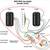 JUBILEE STRATOCASTER - Serial 0002 6 thumbnail