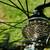 Quintana Roo CD.01 size 49 carbon triathlon bike 4 thumbnail