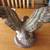 Eagle Sculpture by Armani 3 thumbnail