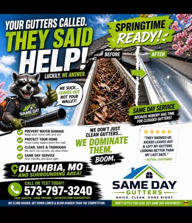 Same Day gutter cleaning 1