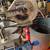 Miter saw with stand 2 thumbnail