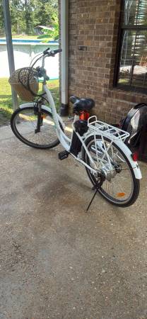 Electric Bike 1
