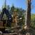 Feller buncher contract cutting 6 thumbnail