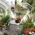MOVE-READY & UPDATED + 1 Bed, Near the Beach, WD, Hardwood 6 thumbnail