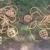 2 X 50 ft. Husky 5-Socket String Caged Construction Work String Lights 1 thumbnail