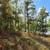 Buildable Land On Private Lake North of Eagle River, WI 16 thumbnail