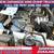 Factory New DAIHATSU JAPANESE MINI DUMP TRUCK UTV Side x Side 4x4 - HE 23 thumbnail