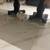 Pomeranian 3 thumbnail