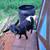 Alpine/Boer + Pymgy mix Doeling OBO 3 thumbnail