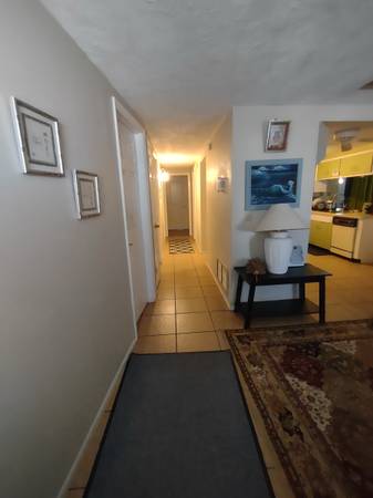 $230 Room in Shared home (Holiday near Tarpon Springs🌴 🏡)63976137881859122