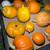 GIANT Pumpkins, organically grown beauties! + Winter Squash:) 12 thumbnail