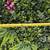 29pcs 20”x20” Grass Panel Greenery Wall Mounted Faux Leaves Ivy Plants 2 thumbnail