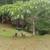 Beautiful Cabin 5 thumbnail
