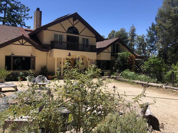 Large master bedroom suite, peaceful, sunny & spacious home 1