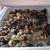 Coturnix Quail Chicks 2 thumbnail