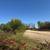 OWNER FINANCING AVAILABLE! Peaceful 1.12-Acre Wooded Lot Near Perham 7 thumbnail