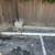 Junk Removal &Hauling! Garage, Office, Storage CLEAN OUT! Downtown Sac 3 thumbnail