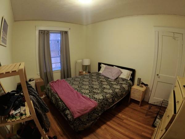 $2,000 / 1br - Brighton 1 Bed/1 Bath | Commonwealth Ave (Brighton)64294653842177123