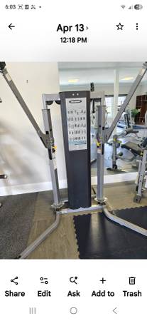 Functional trainer with arms 1