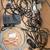 Monsater Stereo Cables and Miller 6 pin finger control cable 2 thumbnail